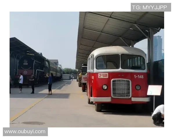 北京篮球队的奋斗历程与荣耀时刻全景纪实